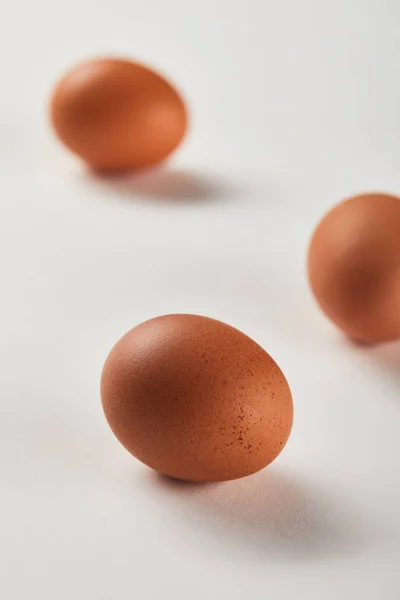 Selective Focus Chicken Eggs White Surface — Stock Photo, Image