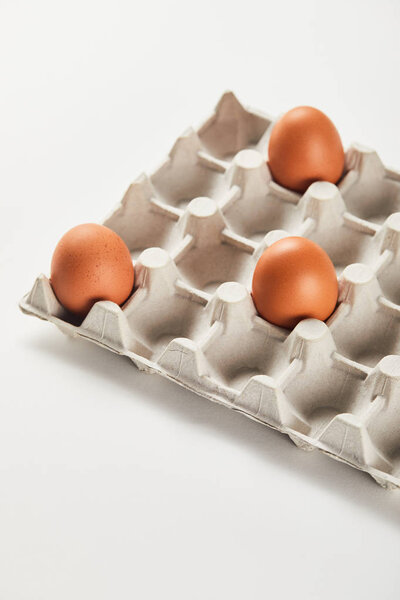 chicken eggs in carton box on white surface