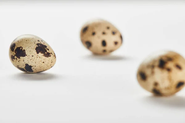 Selective Focus Quail Eggs White Surface — Stock Photo, Image