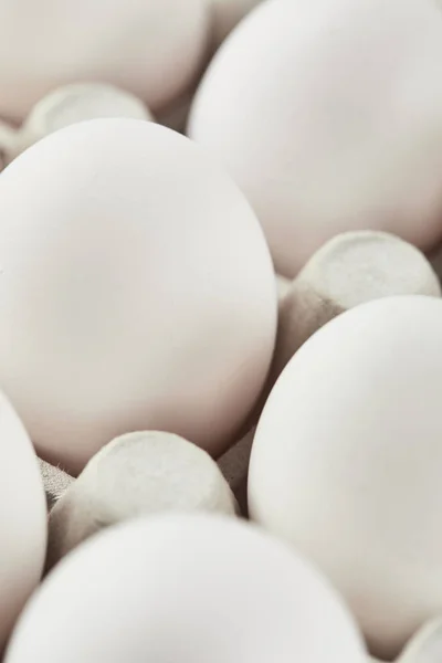 Satu Set Telur Ayam Putih Dalam Kotak Karton — Stok Foto