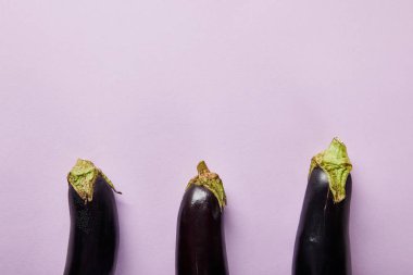 top view of ripe eggplants on violet background with copy space clipart