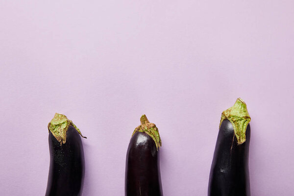 top view of ripe eggplants on violet background with copy space