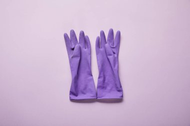 top view of bright and colorful rubber gloves on purple background  clipart