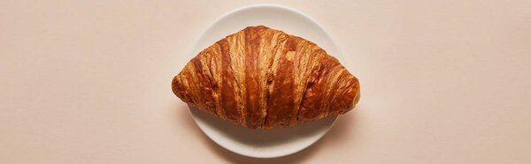 top view of tasty croissant on white plate on beige background, panoramic shot