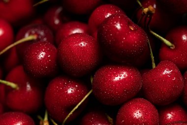 su damlaları ile kırmızı lezzetli tatlı kiraz yakın görünümü