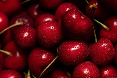 close up view of red delicious sweet cherries with water drops clipart