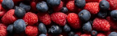 close up view of fresh ripe mixed raspberries and blueberries, panoramic shot clipart