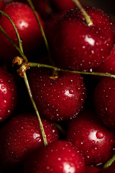 close up view of red delicious cherries with water drops