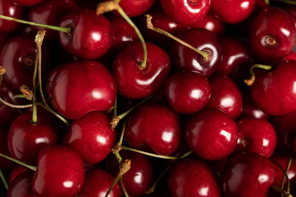 Top View Red Delicious Ripe Shiny Cherries — Stock Photo, Image