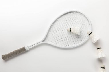 flat lay with white badminton racket and shuttlecocks on white background clipart