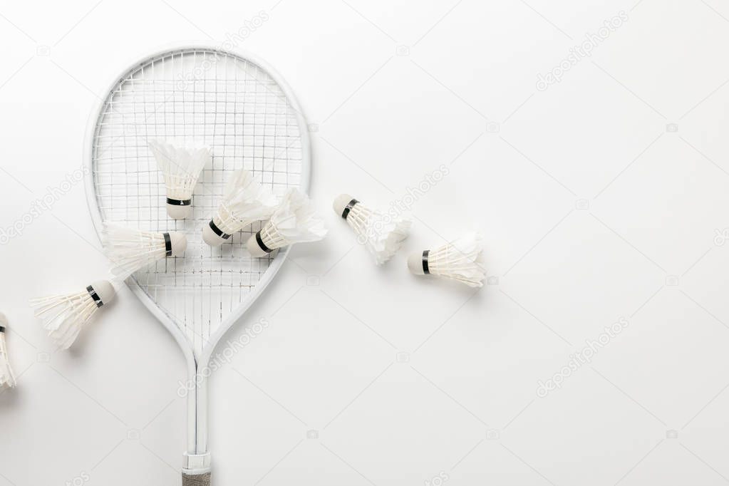 top view of white badminton racket and shuttlecocks on white background
