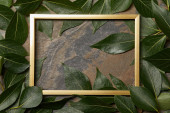 pohled na zlatý rám na kamenném pozadí s prostorem pro kopírování a zelenými listy