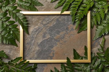 empty golden frame on stone background with copy space and green fern leaves clipart