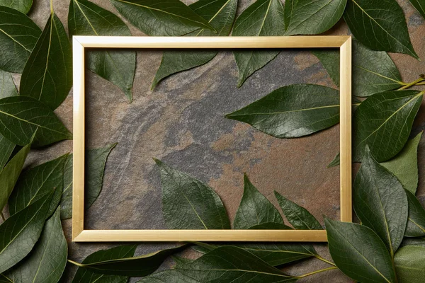 Top View Empty Golden Frame Stone Background Copy Space Green — Stock Photo, Image