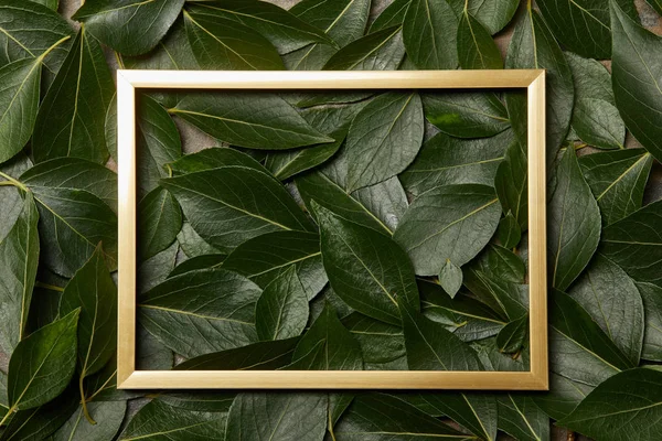 Bovenaanzicht Van Gouden Frame Groene Bladeren Achtergrond Met Kopieer Ruimte — Stockfoto