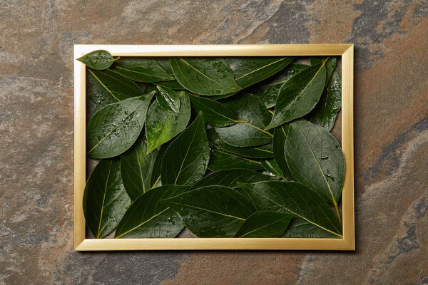 золотая рамка с зелеными влажными листьями на каменном фоне
