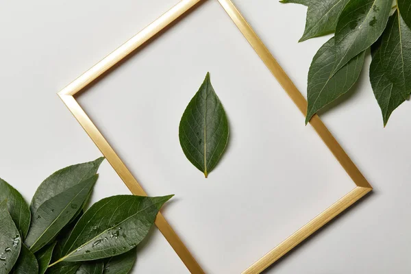 Leeg Gouden Frame Met Blad Geïsoleerd Wit — Stockfoto