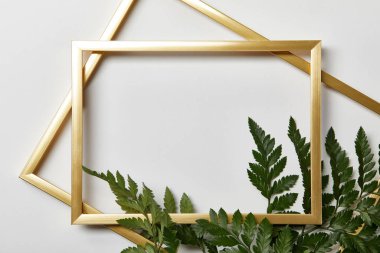 top view of empty golden frames on white background with copy space and fern leaves clipart