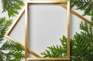 top view of empty golden frames on white background with copy space and fern green leaves clipart