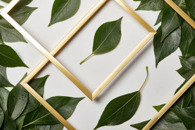 top view of golden frames on white background with green leaves clipart