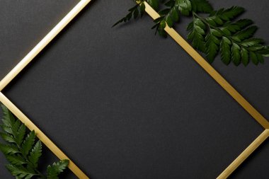 top view of empty golden frame on black background with copy space and fern leaves clipart