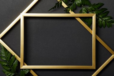 top view of empty golden frames on black background with copy space and green fern leaves clipart