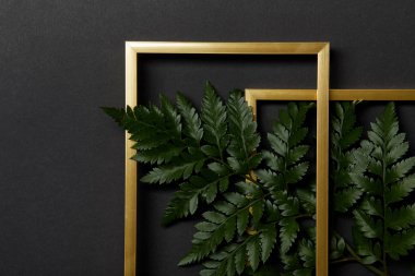 top view of golden frames on black background with copy space and green fern leaves clipart