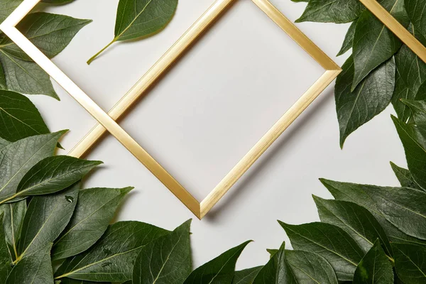 Empty Golden Frames White Background Green Leaves — Stock Photo, Image