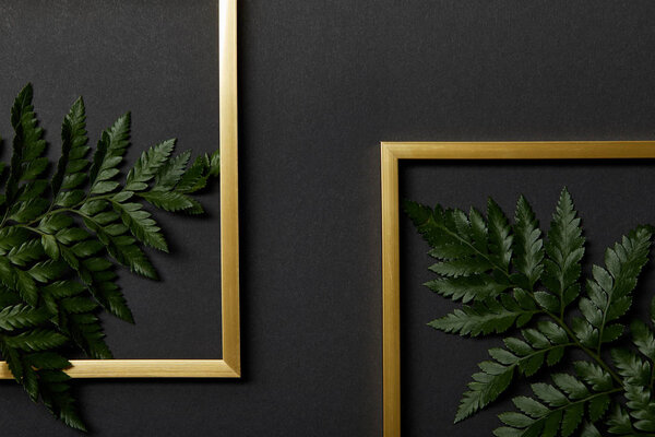 top view of golden frames on black background with green fern leaves