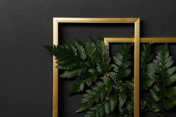 top view of golden frames on black background with copy space and green fern leaves