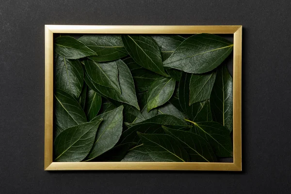 top view of golden frame with green leaves inside on black background