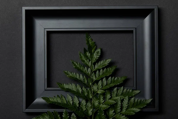 Felülnézet Üres Fekete Keretben Fekete Háttér Másolási Tér Zöld Páfrány — Stock Fotó