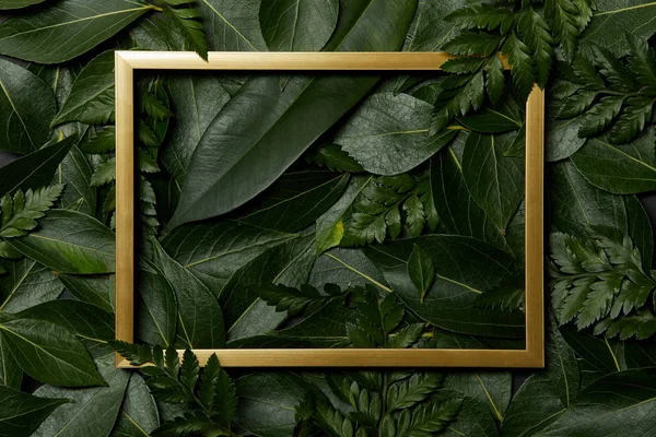 Top View Golden Frame Green Fresh Leaves Background — Stock Photo, Image