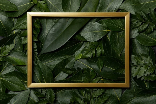 Top View Golden Frame Fresh Leaves Background — Stock Photo, Image