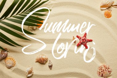 yaz illüstrasyon ile kumlu plajda kırmızı denizyıldızı ve deniz kabukları yakın yeşil palmiye yaprağı üst görünümü