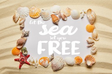 frame of seashells around let the sea set you free lettering on sandy beach clipart