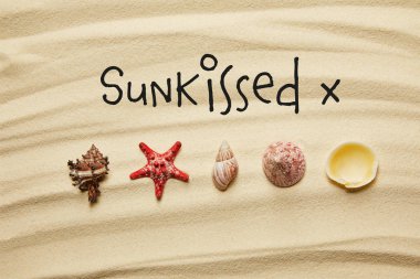 flat lay of seashells and red starfish on sandy beach in summertime with sun kissed lettering clipart