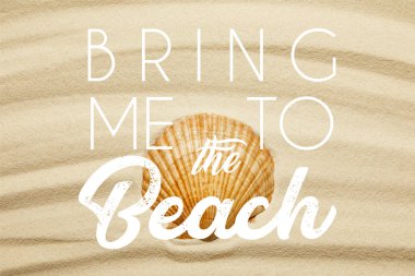 orange seashell on curve sandy beach in summertime with bring me to the beach illustration clipart