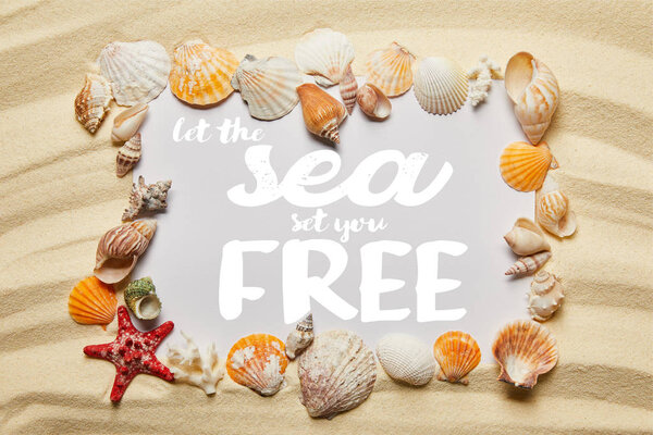 frame of seashells around let the sea set you free lettering on sandy beach