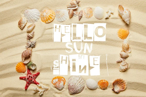 top view of frame with hello sunshine lettering, seashells, starfish and corals on sandy beach