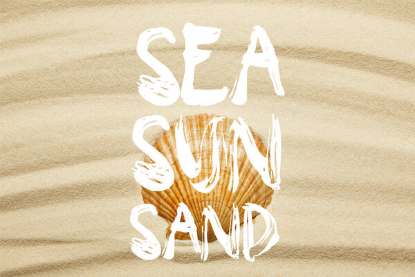 orange seashell on curve sandy beach in summertime with sea, sun and sand words