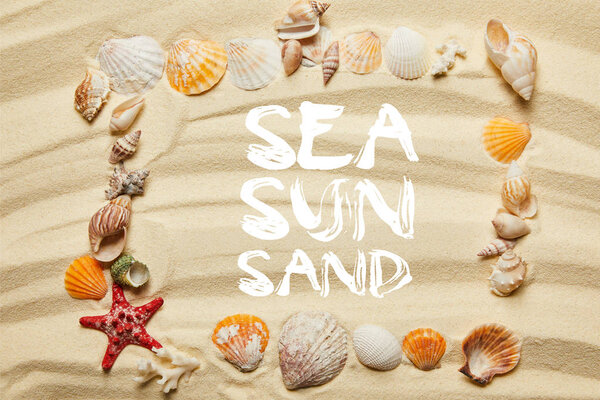 верхний вид рамы с морскими, солнечными и песчаными иллюстрациями, ракушками, морскими звездами и кораллами на песчаном пляже
