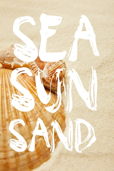 Selective Focus Seashells Beach Golden Sand Sea Sun Sand Illustration — Stock Photo, Image