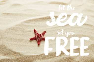 red starfish on sand with let the sea set you free lettering clipart
