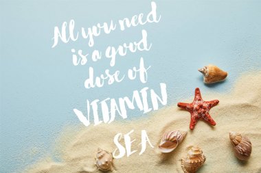 tüm ihtiyacınız olan mavi arka plan üzerinde deniz kabukları ve denizyıldızı ile kum üst görünümü vitamin deniz yazı iyi bir doz