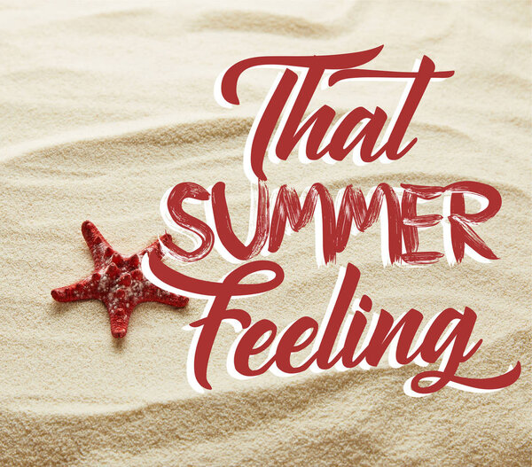 red starfish on sand with that summer feeling lettering