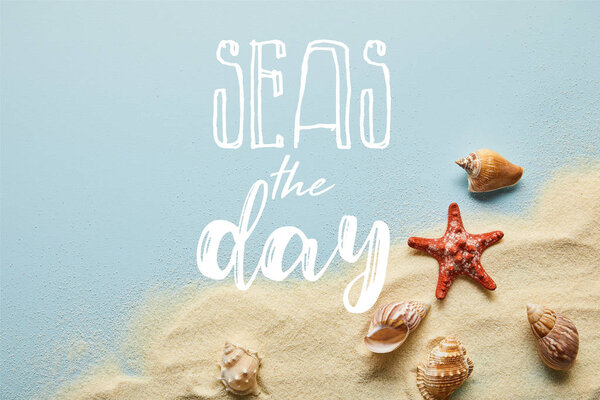 top view of sand with seashells and starfish on blue background with seas the day lettering