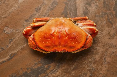 top view of  frozen raw crab with solid shell on textured surface clipart