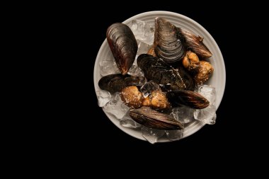 top view of cockles and mussels with ice cubes on white plate isolated on black clipart