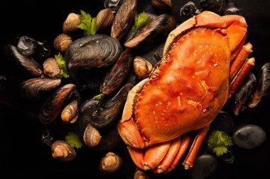 top view of uncooked crab, cockles and mussels with greenery on stones near scattered ice cubes isolated on black clipart